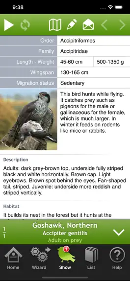 Game screenshot Birds of Britain and Europe apk