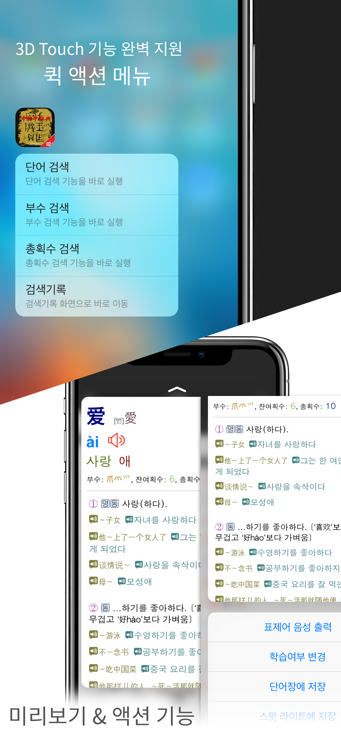 고려대 중한중사전 - CnKoCn DIC