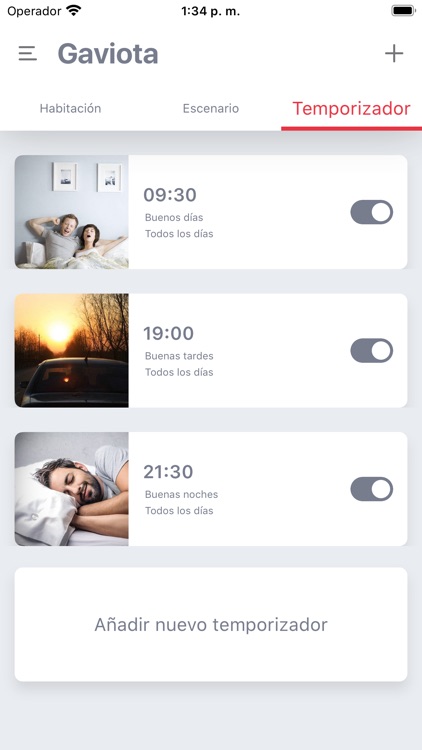 Gaviota screenshot-4
