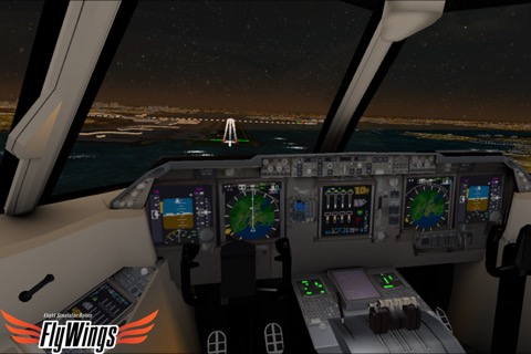 Flight Simulator Night Flyのおすすめ画像3