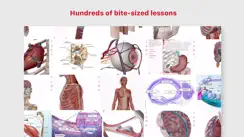 Anatomy & Physiology iPhone image 2