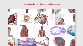Anatomy & Physiology screenshot