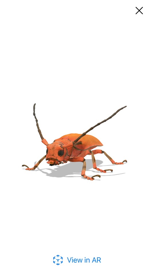 #4. Insecta - Study Insects in AR (macOS) 由: Samira Sadeghi
