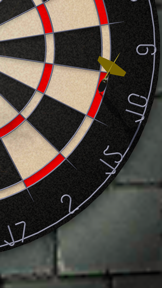 Bulls i Darts: Masters Edition screenshot