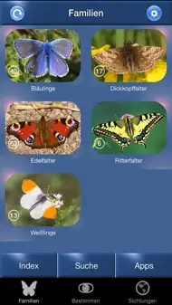 Schmetterling Id - Tagfalter iphone bilder 0