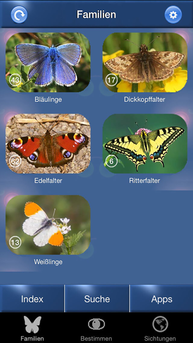 Schmetterling Id - Tagfalter Screenshot