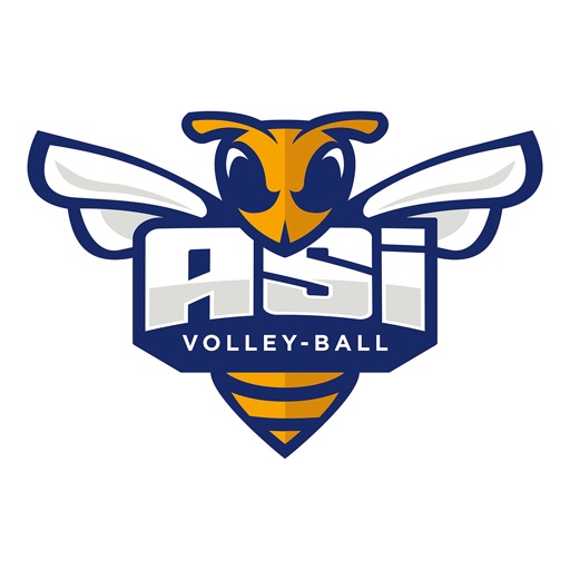 ASI Volley icon