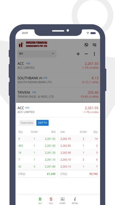 Horizon Financial Consultants Screenshot