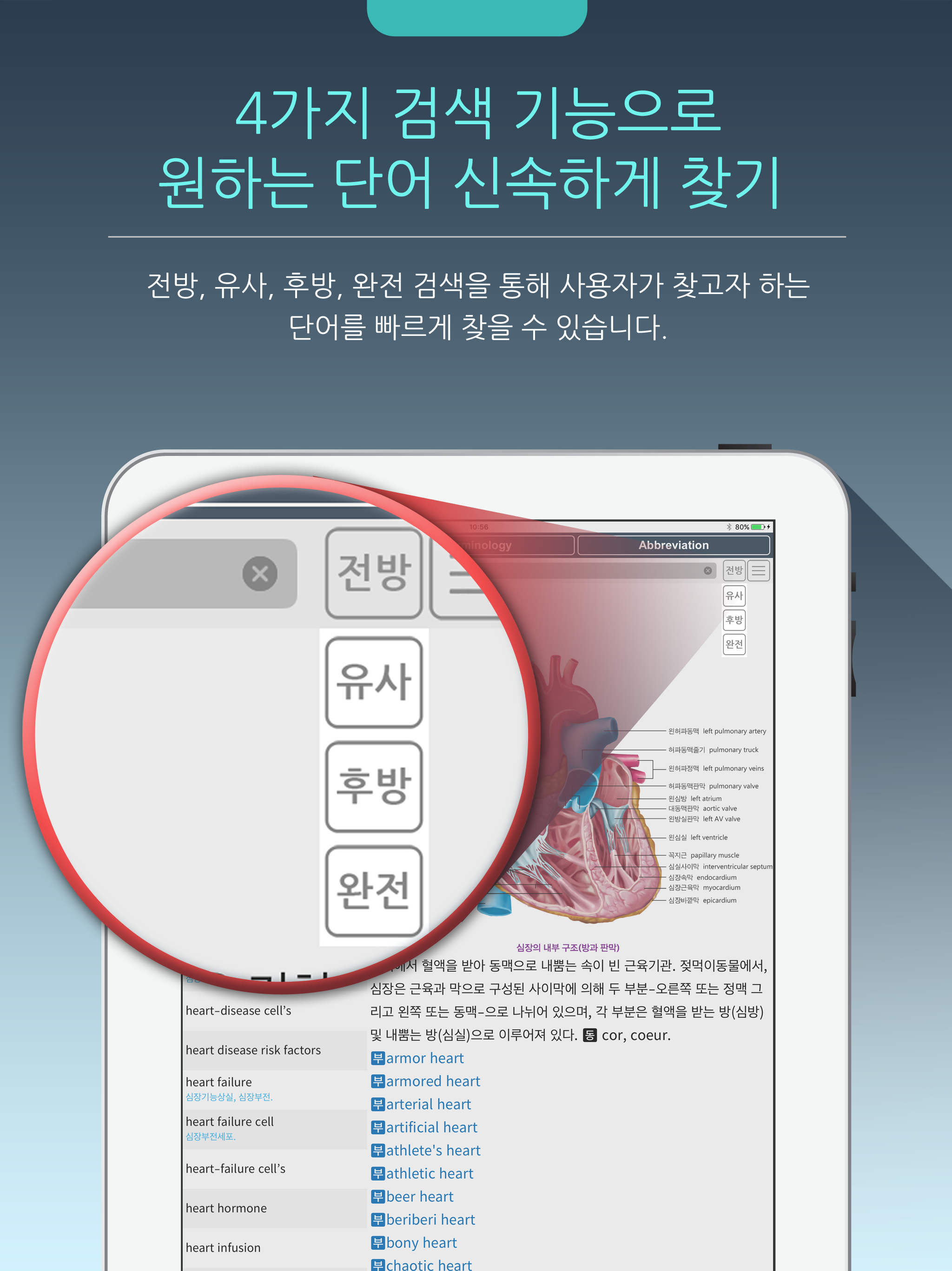우리말 의학사전 screenshot 7