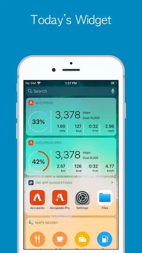 Accupedo Pedometer