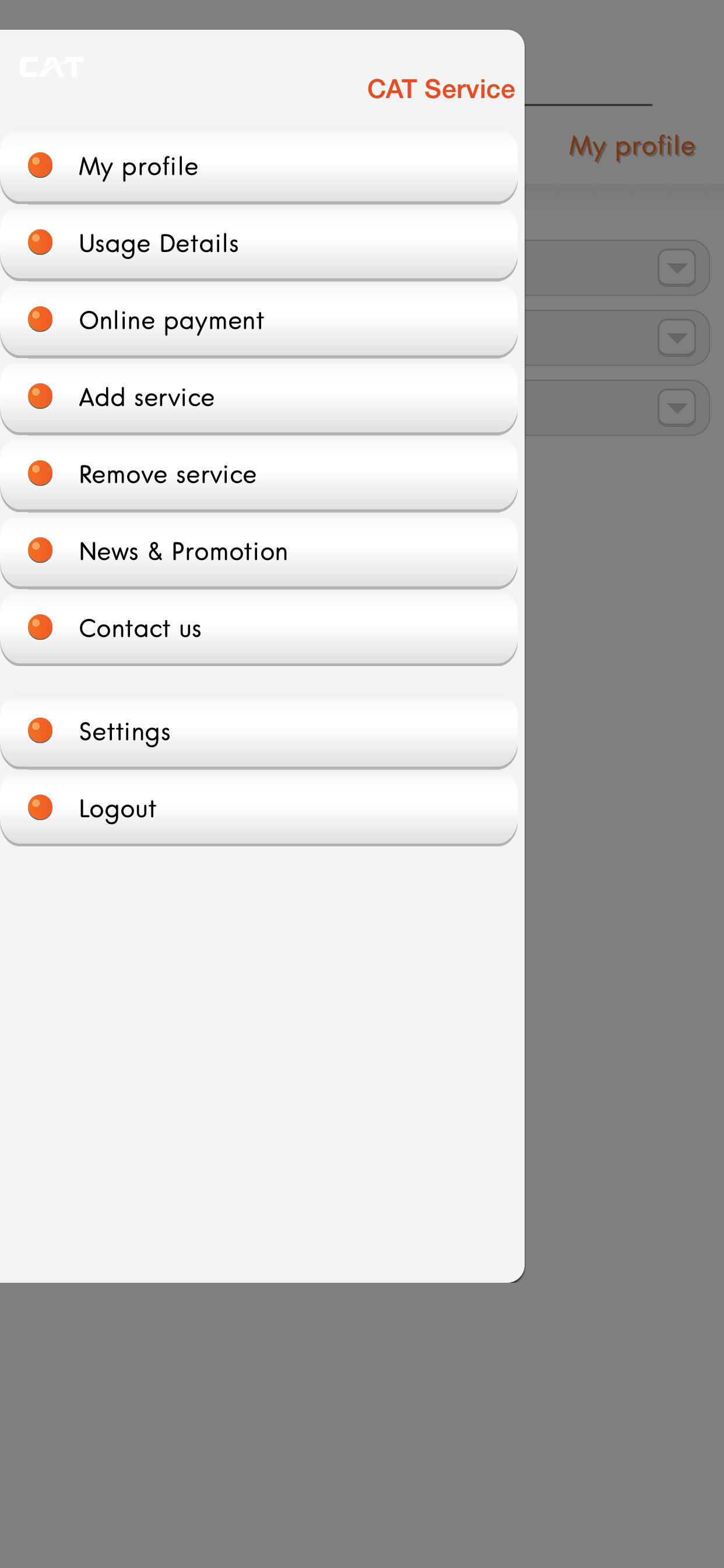 CAT eService