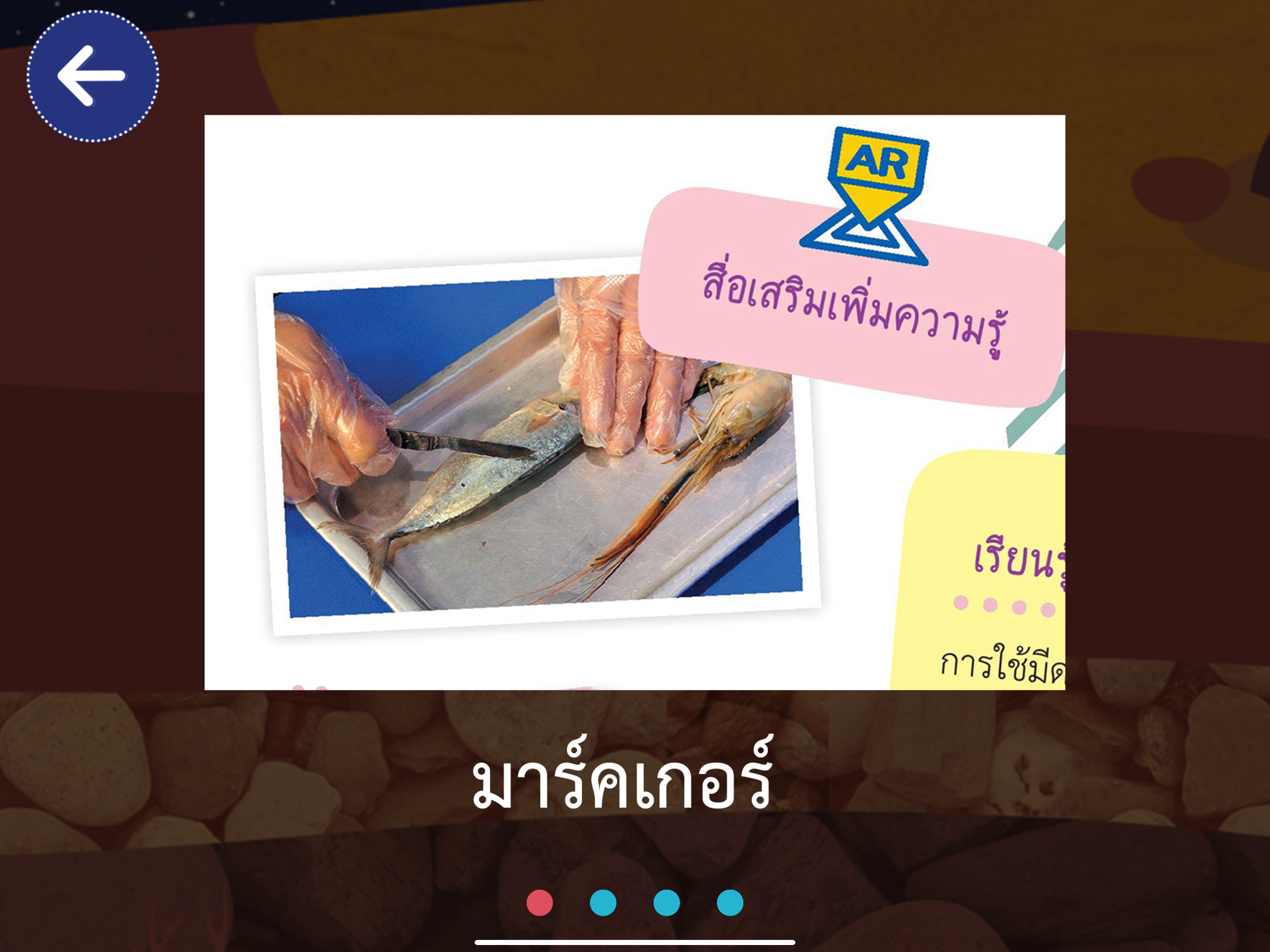 AR วิทย์ ป.4