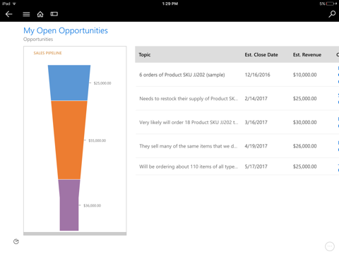 Microsoft Dynamics 365 - náhled