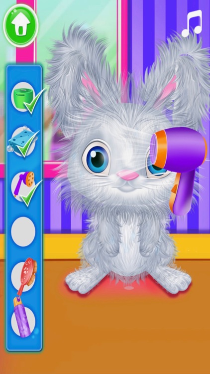 Animal Salon Virtual Pony Care