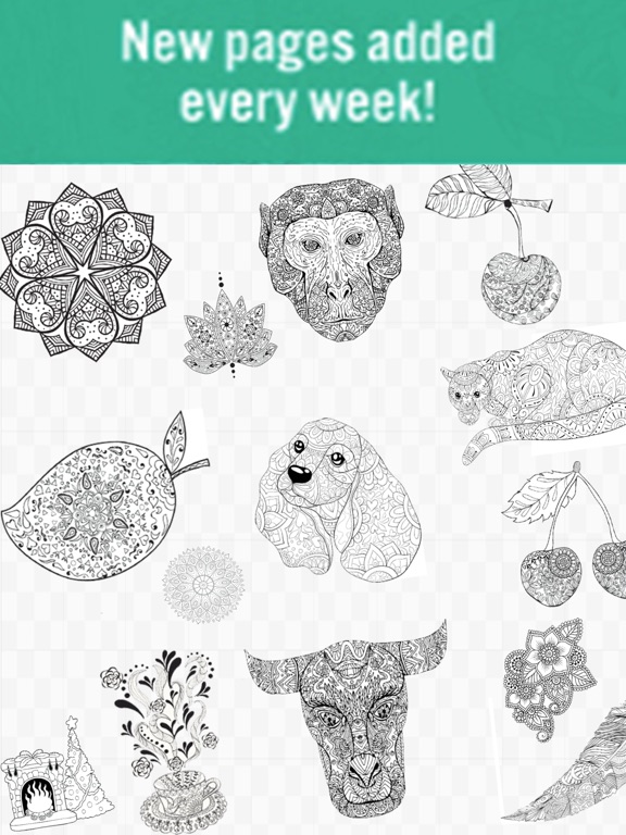 Tincture - Color by Number iPad screenshot 7 - Entertainment app