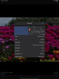 ViewExif ipad bilder 2