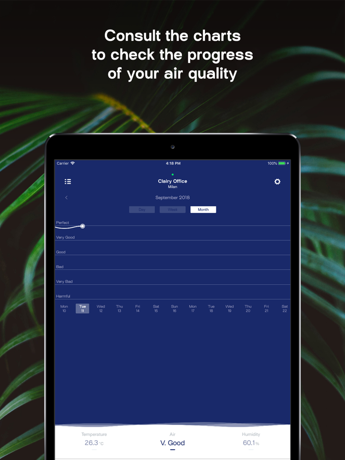 Natural Air Purifier