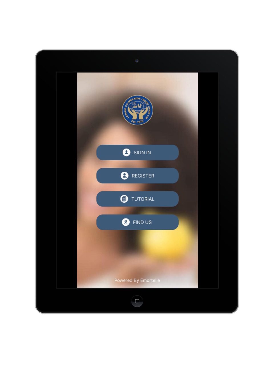 iPad screenshot