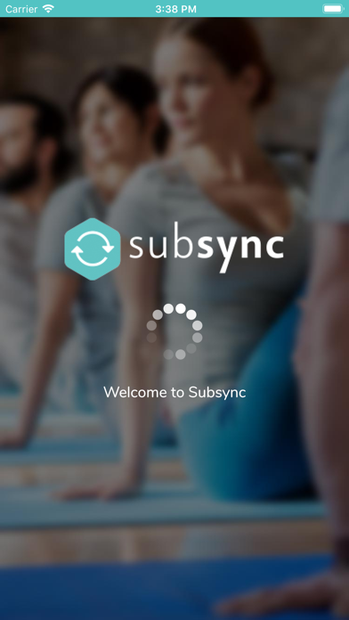 Subsync Screenshot