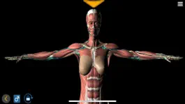 Game screenshot Body world hack