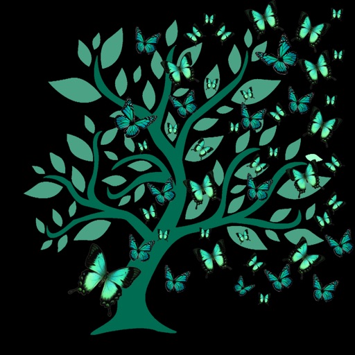 PCOS Diary 2
