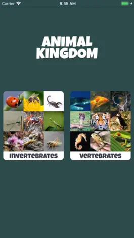 Game screenshot Animal Kingdom (wildlife) mod apk