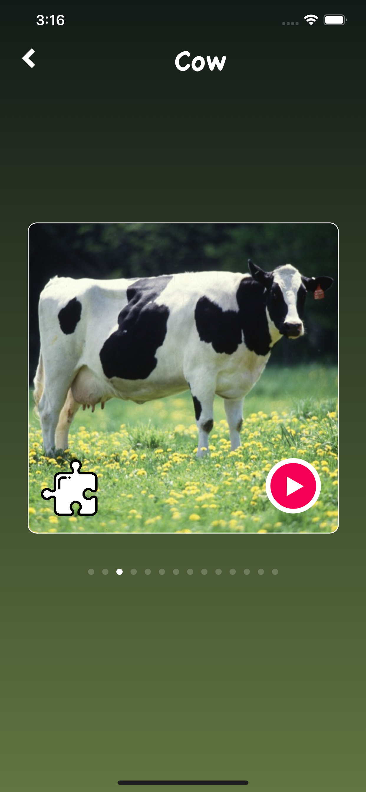 Animal Sounds, Animal Language