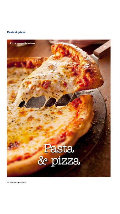 Cocina Vegetariana Screenshot
