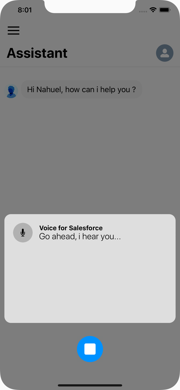 Voice for Salesforce