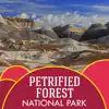 Petrified Forest delete, cancel