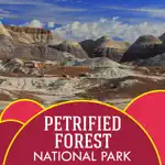 Petrified Forest App Contact
