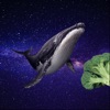 Rudolf - The vegan whale!