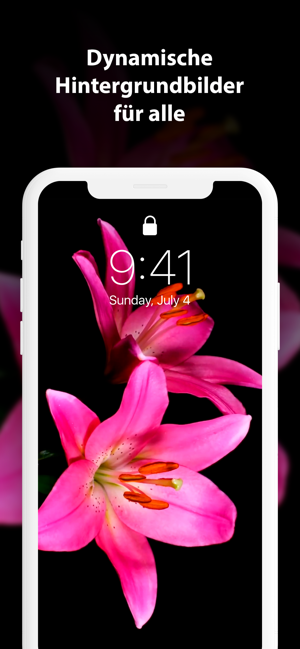 Coole Live Hintergrundbilder Screenshot