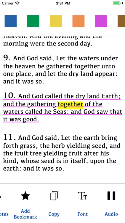 The Holy Bible RSV Offline screenshot-4