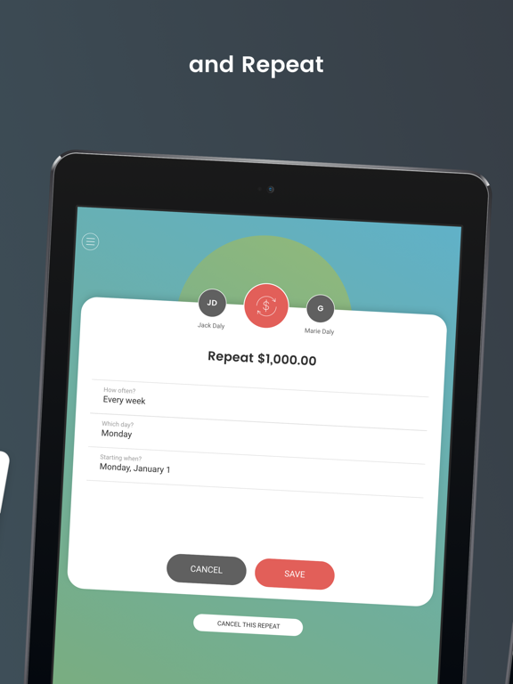 Akimbo - Budgets and Allowance iPad screenshot 4 - Finance app