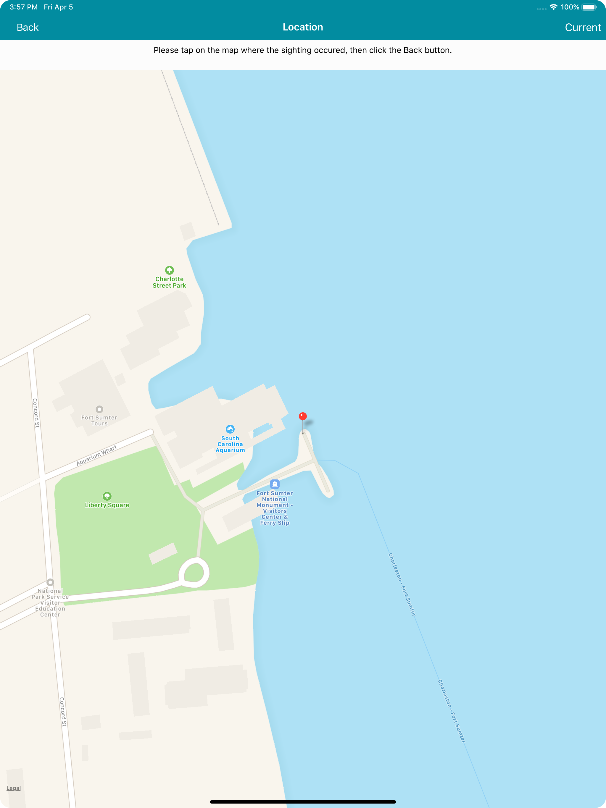 Dolphin Count
