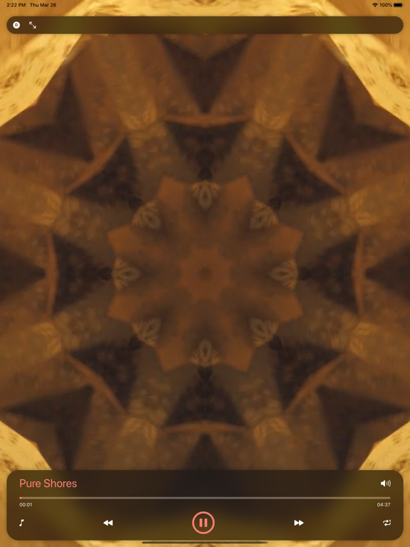 Screenshot #5 pour Bollywood Musique Carnatique