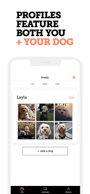 Dig - Dog Person’s Dating App(圖3)-速報App