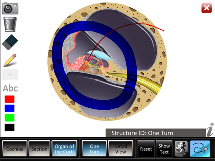 Inner Ear ID screenshot 10