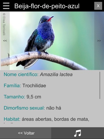 Guia Aves da Região Bragantinaのおすすめ画像1