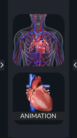 Game screenshot My Circulatory System Anatomy apk