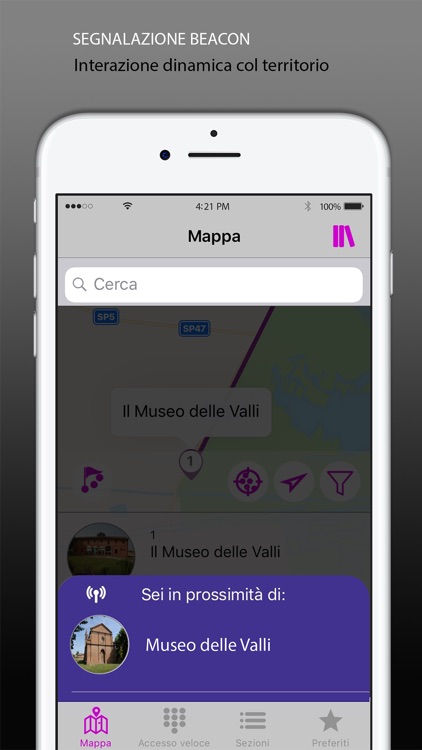 Musei Speciali Per Tutti screenshot-3