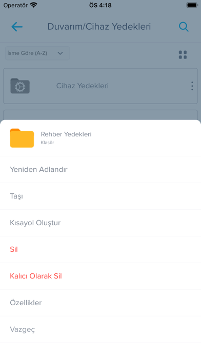 SayDrive Screenshot