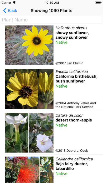 Screenshot #2 pour Northern Mexico Wildflowers
