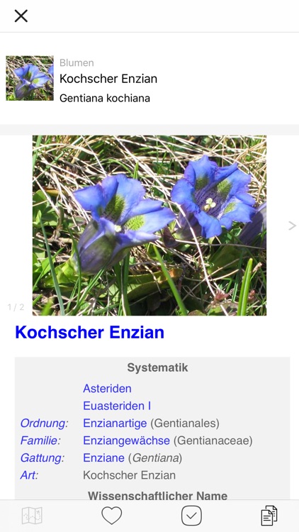 Alpenblumen bestimmen Pro