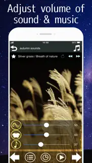 healing nature sounds iphone screenshot 3
