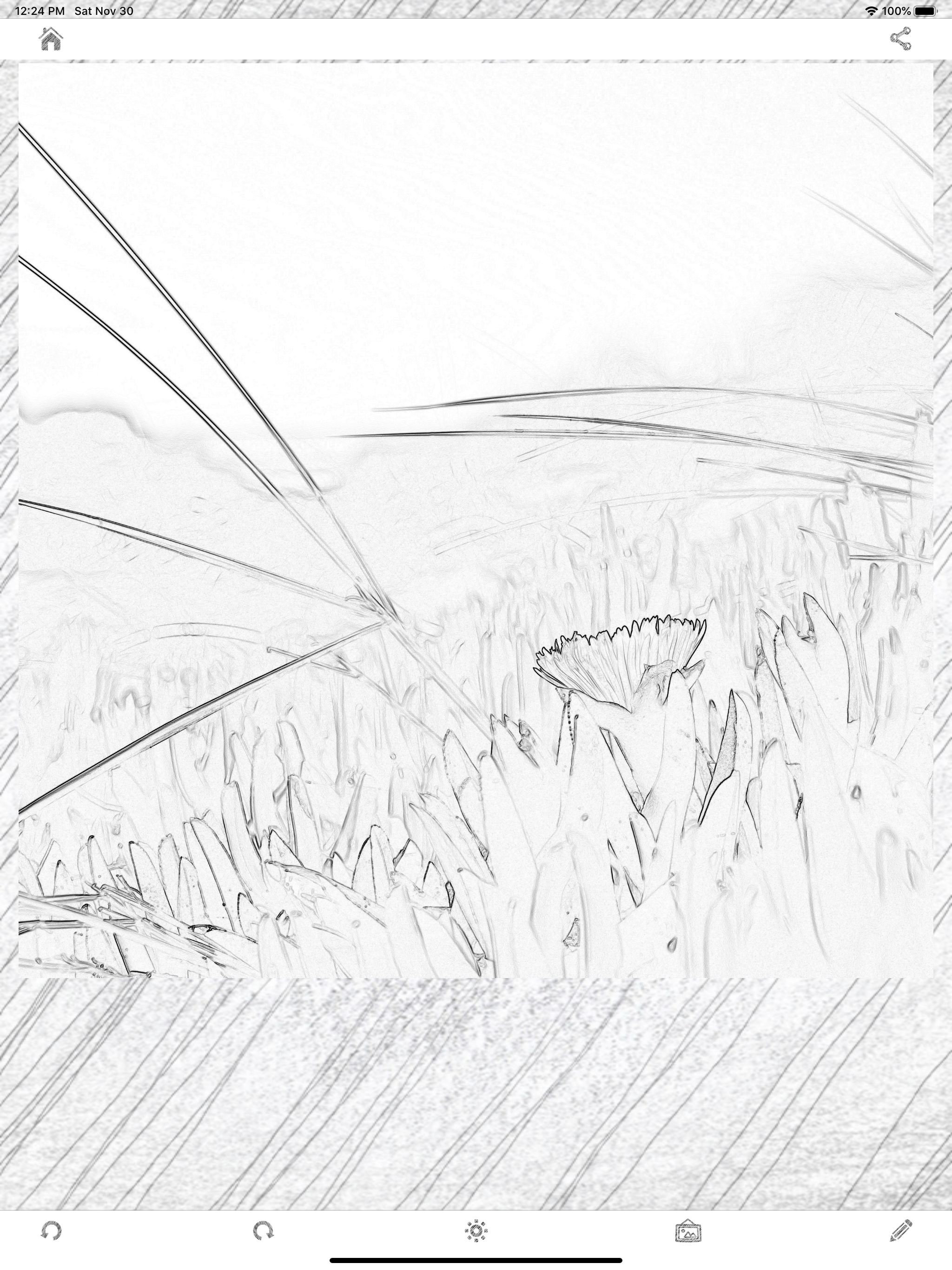 Photo Sketch Plus screenshot 7