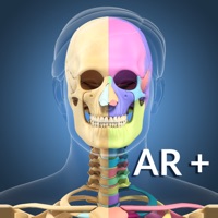 AR Skeleton Anatomy sur PC