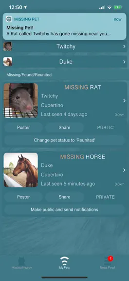 Game screenshot Missing Pet Finder hack
