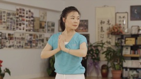 Qigong for Cancer (YMAA) screenshot